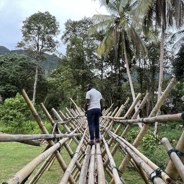 25th Rainforest World Music Festival!