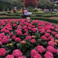 Linh Ung Pagoda… Extraordinary 