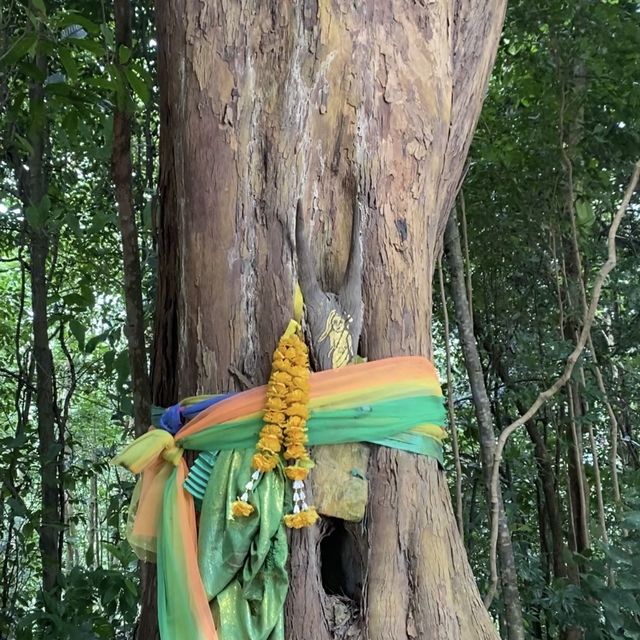 เขาพรุทัง (จุดชมวิว) อำเภอพิปูน 