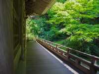 【神奈川県】＜鎌倉＞夏の新緑と妙本寺