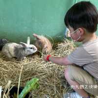 親子農莊夏水禮Party   