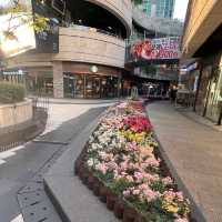 韓国/ソウル【合井】駅直結！大型マートもある便利なモール♡