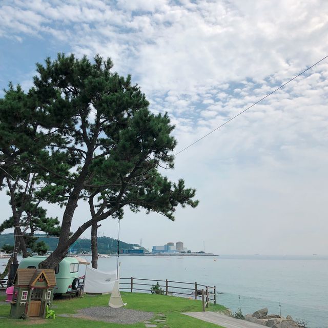 뷰산 기장 뷰좋은카페 “웨이브온”