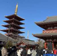 【浅草観光】今年の冬は浅草で揚げ饅頭を！ 東京観光