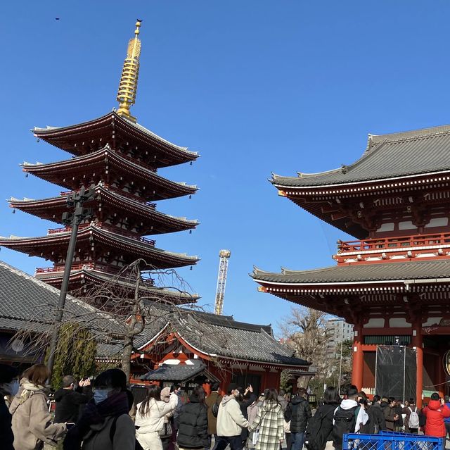【浅草観光】今年の冬は浅草で揚げ饅頭を！ 東京観光
