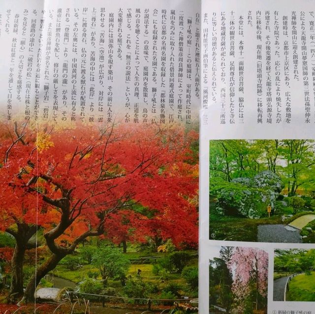 嵐山宝厳院ライトアップ