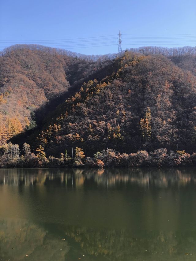 온수풀까지 있는 분위기 끝판왕 글램핑장 가평 ’크리스월드‘ 🏕️🥩🧳🔥