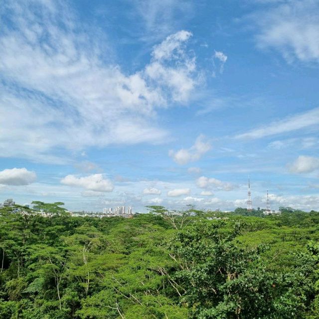 Newly opened Rifle Range Nature Park