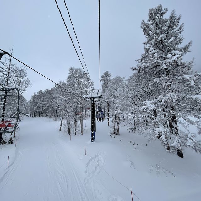 Niseko-The Best Powder Snow & Ski Destination