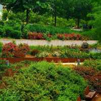 The Myriad Botanical Gardens