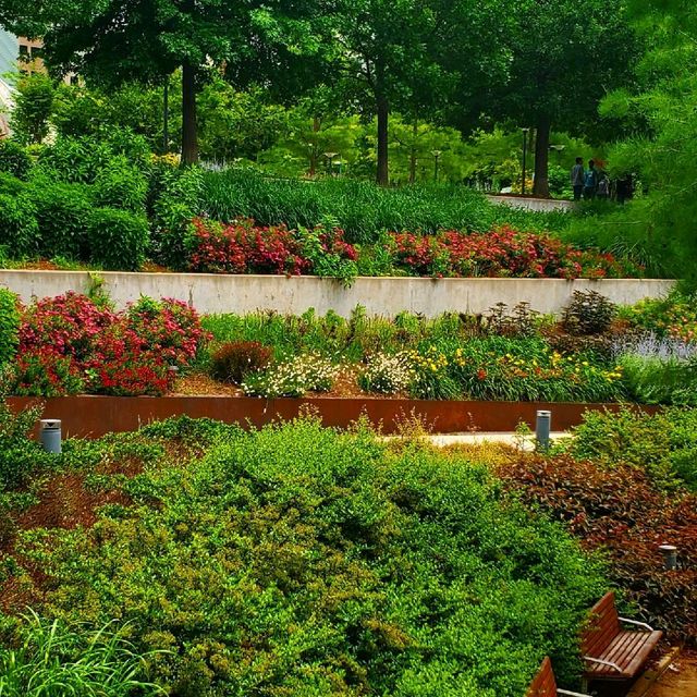 The Myriad Botanical Gardens