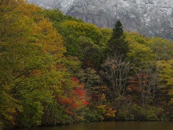 【長野・戸隠】鏡池