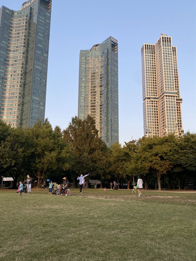 건물과 숲의 조화 🌳 서울숲 