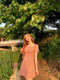 엄청난 크기, 엄청난 뷰의 양주 오랑주리 카페 🌿