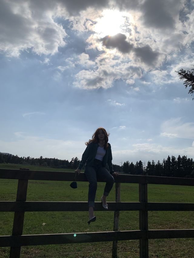[성이시돌목장] 이국적인 제주 목장🐴