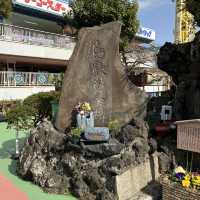 【東京】日本現存最古のコースターが楽しめる！
