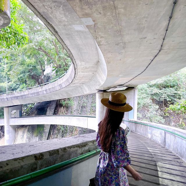 滿滿荒涼幽靜感～城中天橋秘景