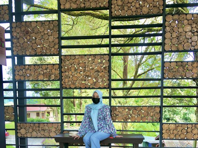 BOH TEA CENTRE, CAMERON HIGHLANDS !! 🍃