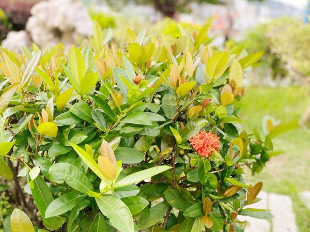 屯門海濱花園