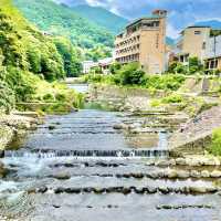 紫陽花の聖地！？〜箱根湯本〜
