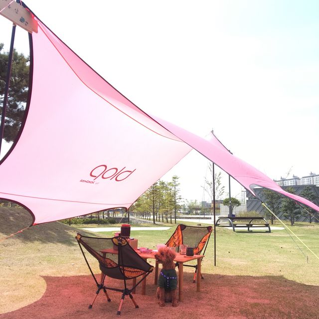 도심 속의 캠핑, ⛺️천안 신방공원에서 반려견과 즐기는 여름 소풍