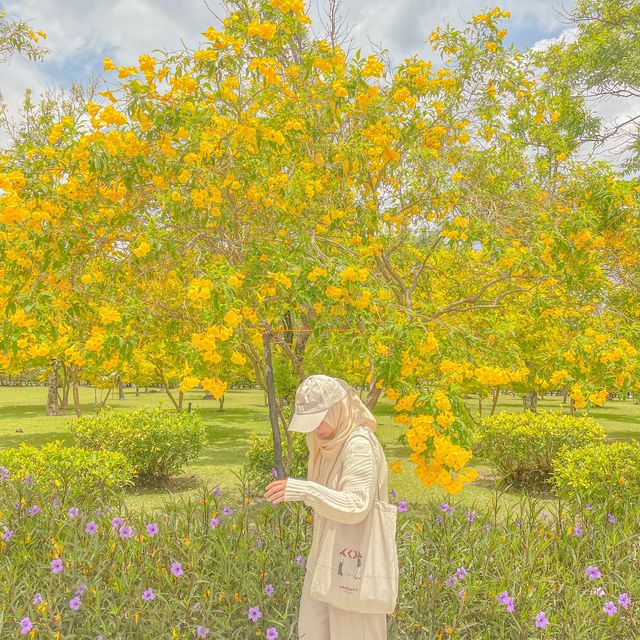 เกาหลีเกาใจที่สวนเบญจกิติ
