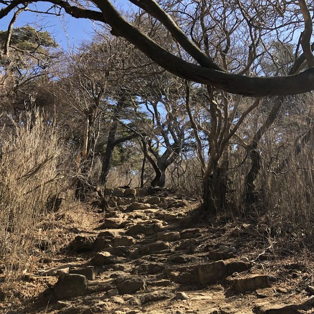 Hiking and Onsen - simply an umami bomb in mind