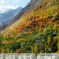 Autumn In Kargil, India