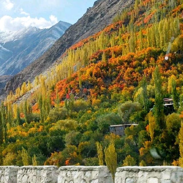 Autumn In Kargil, India