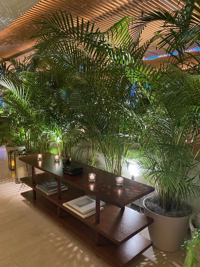 神谷町　緑溢れるお洒落ラウンジ🌿🤍【東京エディション虎ノ門】
