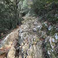🇯🇵 參觀戰國名將的邸宅 — 岐阜公園及百曲登山道