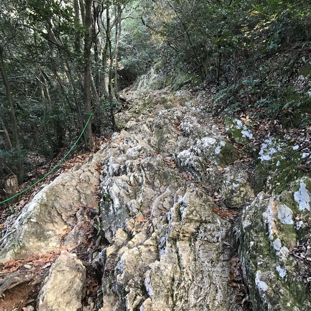 🇯🇵 參觀戰國名將的邸宅 — 岐阜公園及百曲登山道