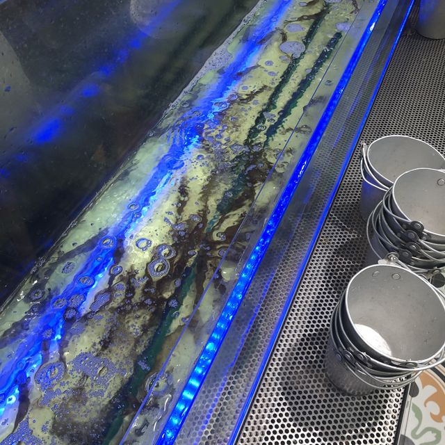 好似去左泰國的餐廳🥰 任夾流水蝦🦐