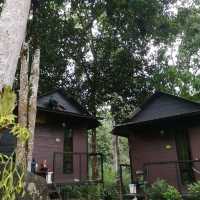 Suria Rimba Chalet 