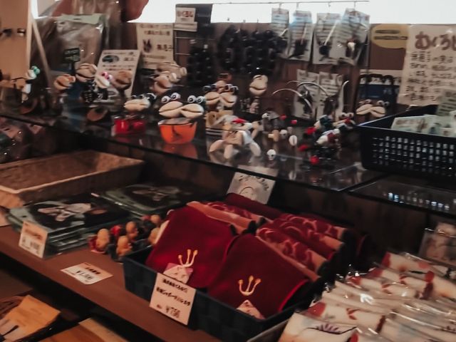 觀賞四十塊岩石橋杭岩Hashiguiiwa🪨