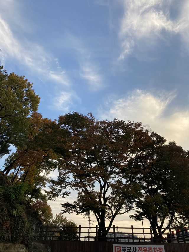 한옥의 미가 느껴지는 진주성