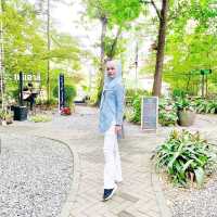 เดอะ ทรีเฮาส์ หนองจอก 