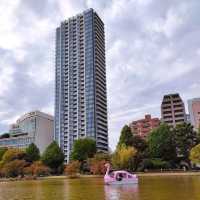Shinobazu Pond in Ueno Park