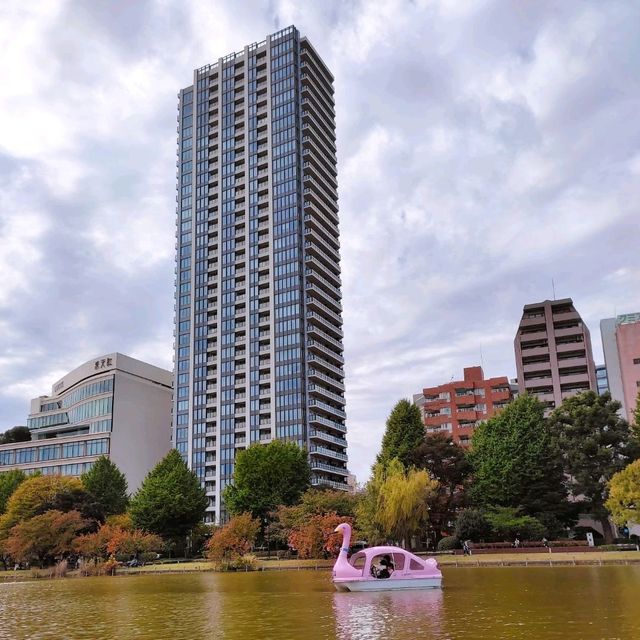 Shinobazu Pond in Ueno Park