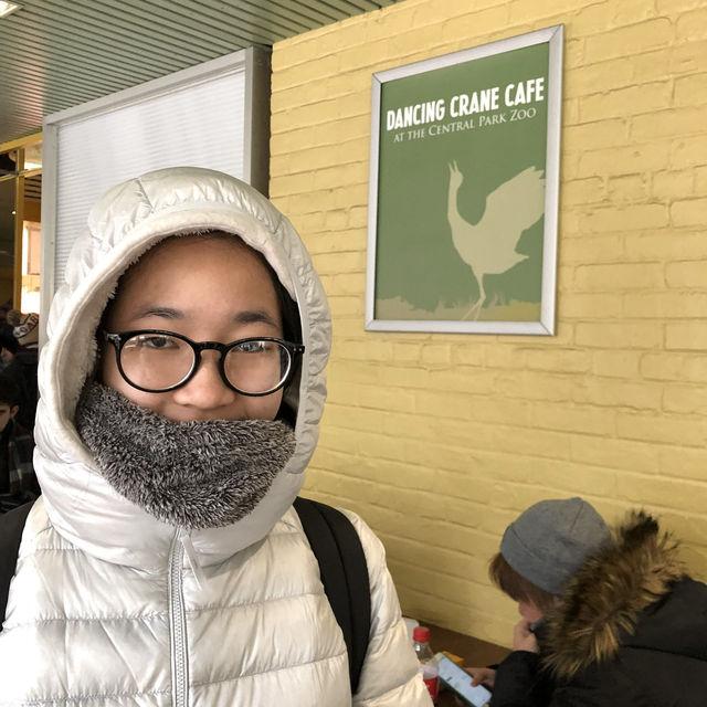 เที่ยว Central Park Zoo กัน