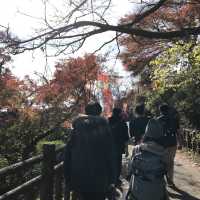 東京攻略 青梅市-御岳本町