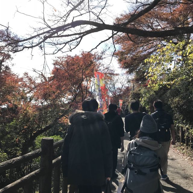東京攻略 青梅市-御岳本町