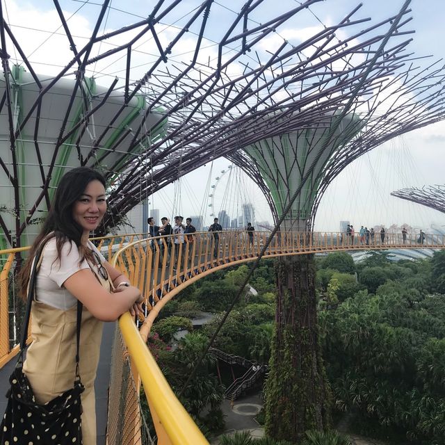 gardens by the bay สวนสวยยอดนิยมของสิงคโปร์