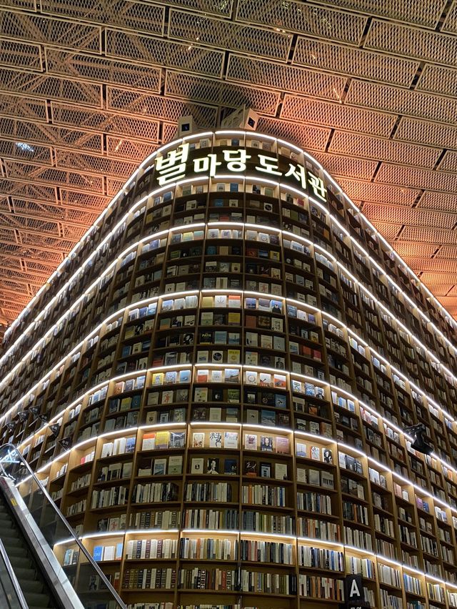 서울 크리스마스 스팟 🎄코엑스 별마당도서관