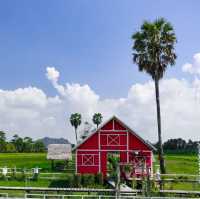 One Day Trip : ณ โรงนาคาเฟ่  ท่ายาง เพชรบุรี