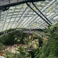 Best travel place, “Garden by the bay”