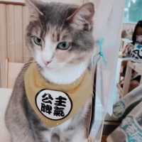 喵🐱cafe 之初體驗☕️