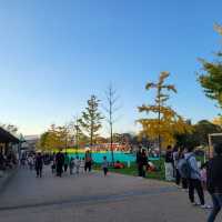 放鬆享受自然的好去處｜天王寺公園