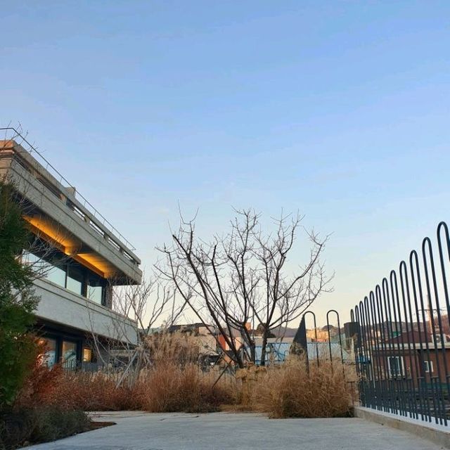 N서울타워가 보이는 한국 감성 카페🌱오설록