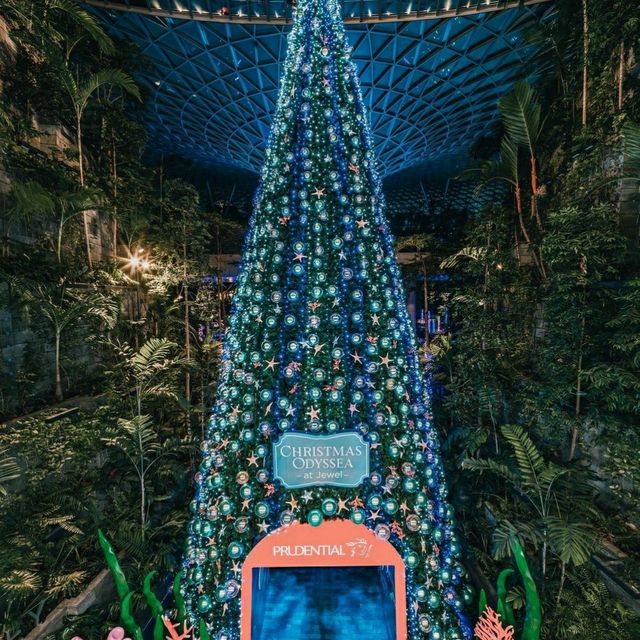 📍 SINGAPORE Changi Airport 